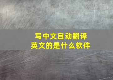 写中文自动翻译英文的是什么软件