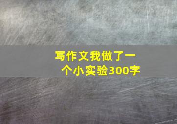 写作文我做了一个小实验300字