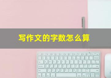 写作文的字数怎么算