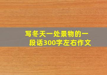 写冬天一处景物的一段话300字左右作文