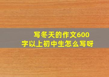 写冬天的作文600字以上初中生怎么写呀