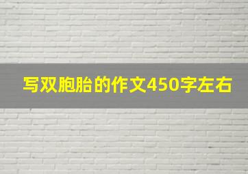 写双胞胎的作文450字左右