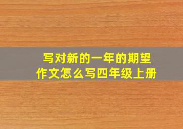 写对新的一年的期望作文怎么写四年级上册