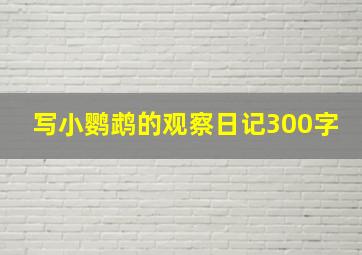 写小鹦鹉的观察日记300字