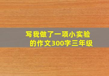 写我做了一项小实验的作文300字三年级