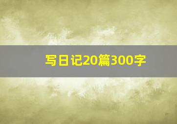 写日记20篇300字