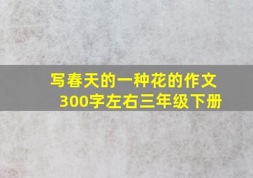 写春天的一种花的作文300字左右三年级下册