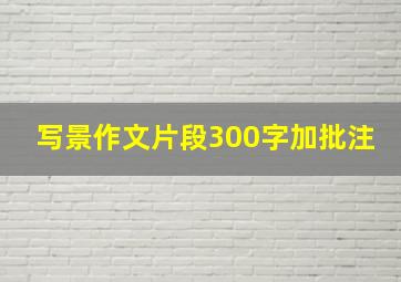 写景作文片段300字加批注