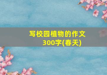 写校园植物的作文300字(春天)