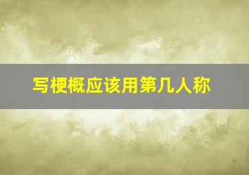 写梗概应该用第几人称