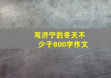 写济宁的冬天不少于800字作文