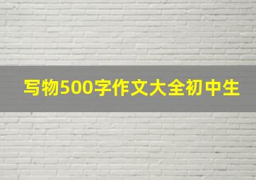 写物500字作文大全初中生