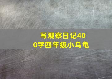 写观察日记400字四年级小乌龟