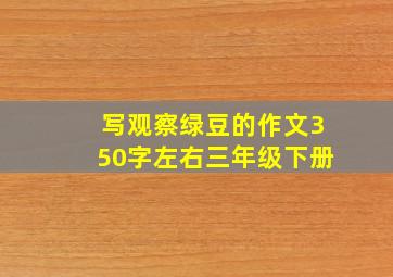 写观察绿豆的作文350字左右三年级下册