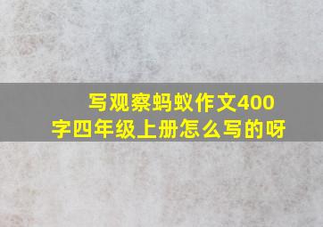 写观察蚂蚁作文400字四年级上册怎么写的呀