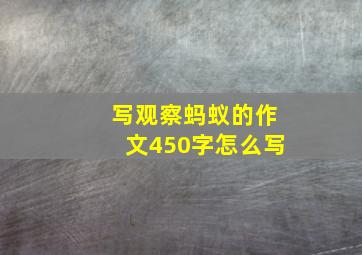 写观察蚂蚁的作文450字怎么写