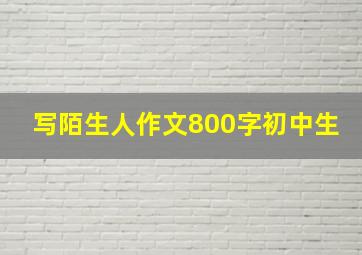 写陌生人作文800字初中生