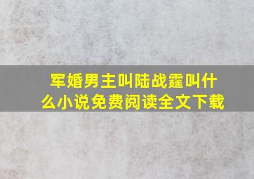 军婚男主叫陆战霆叫什么小说免费阅读全文下载