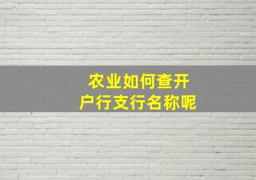 农业如何查开户行支行名称呢