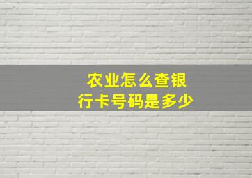 农业怎么查银行卡号码是多少