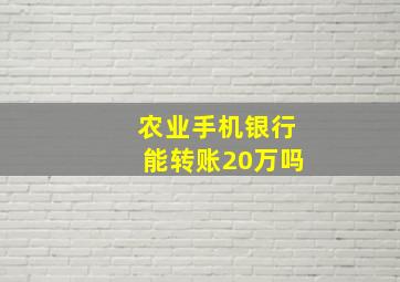 农业手机银行能转账20万吗