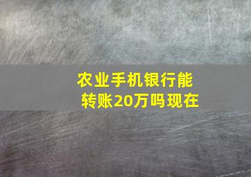 农业手机银行能转账20万吗现在