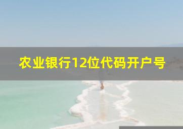 农业银行12位代码开户号