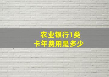 农业银行1类卡年费用是多少