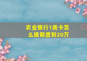 农业银行1类卡怎么提额度到20万