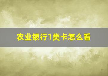 农业银行1类卡怎么看