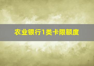 农业银行1类卡限额度