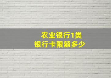 农业银行1类银行卡限额多少