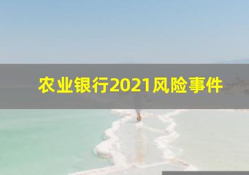 农业银行2021风险事件