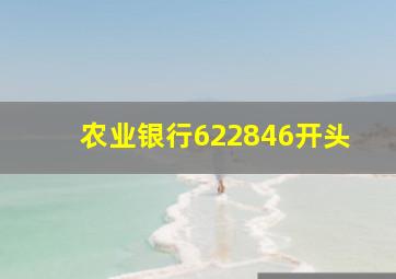 农业银行622846开头