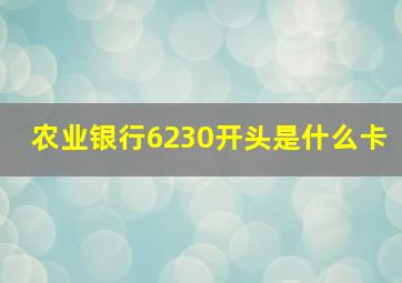 农业银行6230开头是什么卡