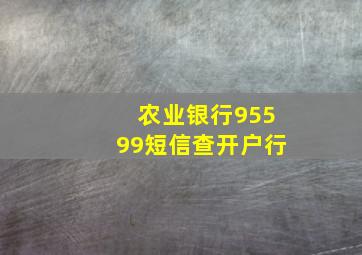 农业银行95599短信查开户行