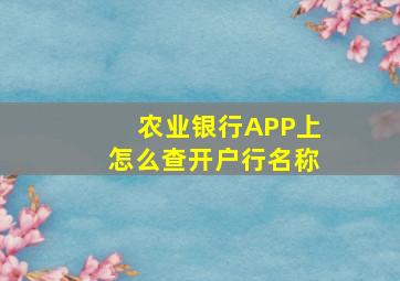 农业银行APP上怎么查开户行名称