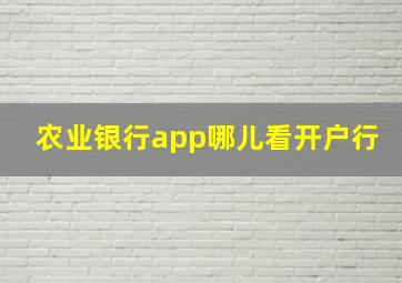 农业银行app哪儿看开户行