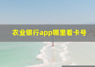 农业银行app哪里看卡号