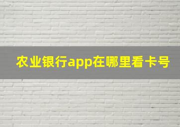 农业银行app在哪里看卡号