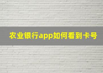 农业银行app如何看到卡号