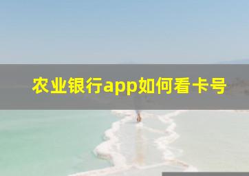 农业银行app如何看卡号