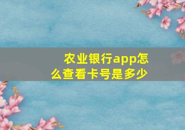 农业银行app怎么查看卡号是多少