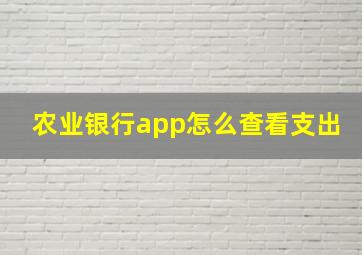 农业银行app怎么查看支出