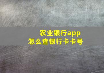 农业银行app怎么查银行卡卡号