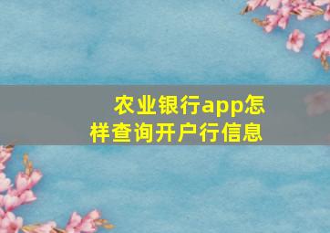 农业银行app怎样查询开户行信息