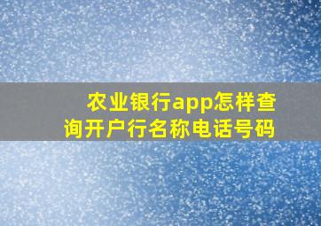 农业银行app怎样查询开户行名称电话号码