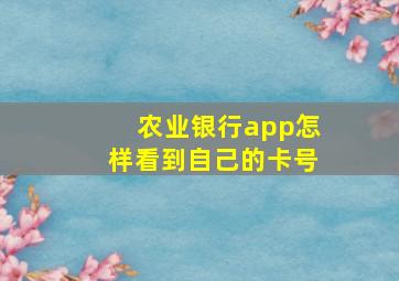 农业银行app怎样看到自己的卡号