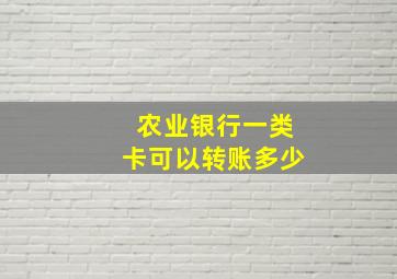 农业银行一类卡可以转账多少