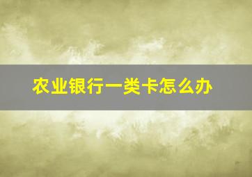 农业银行一类卡怎么办